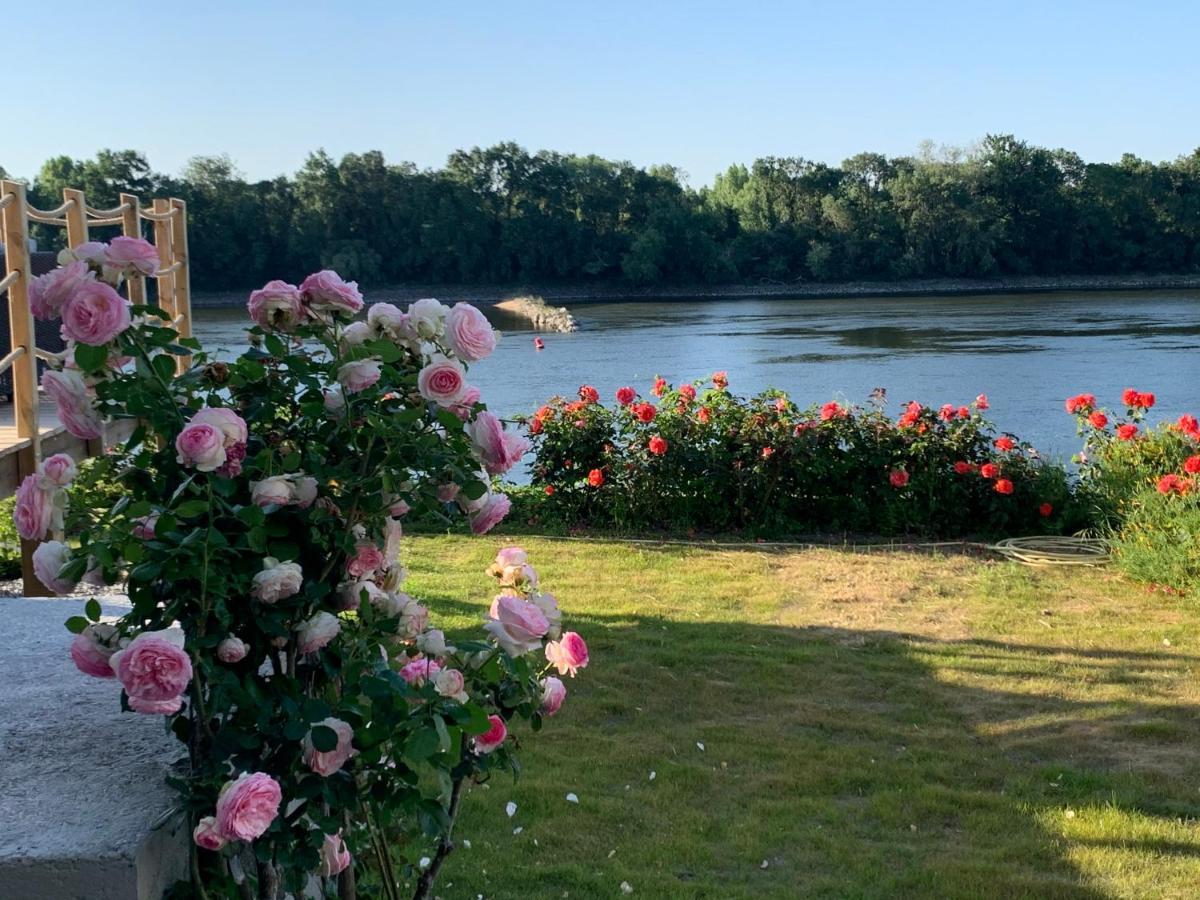 Maisons Au Bord De La Loire - Maison Paradis & Maison Bonheur Au 248 Riverside Le Fosse-Neuf Eksteriør billede